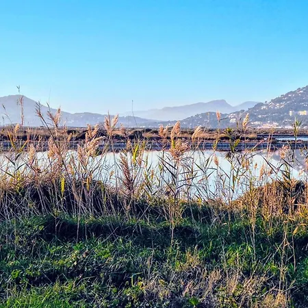 50 M2 - Le Port,