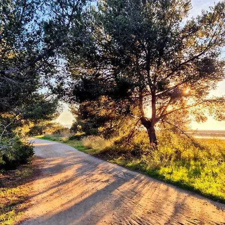 50 M2 - Le Port, Appartamento