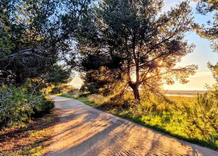 50 M2 - Le Port, Lejlighed